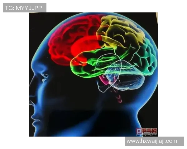 武汉乒乓球队防反体系解析与战术运用探讨