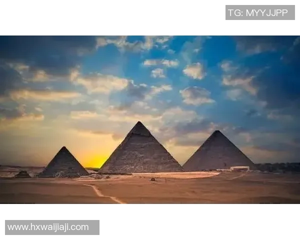 亚当斯的探索之旅：揭示科学与人性交织的奥秘与启示