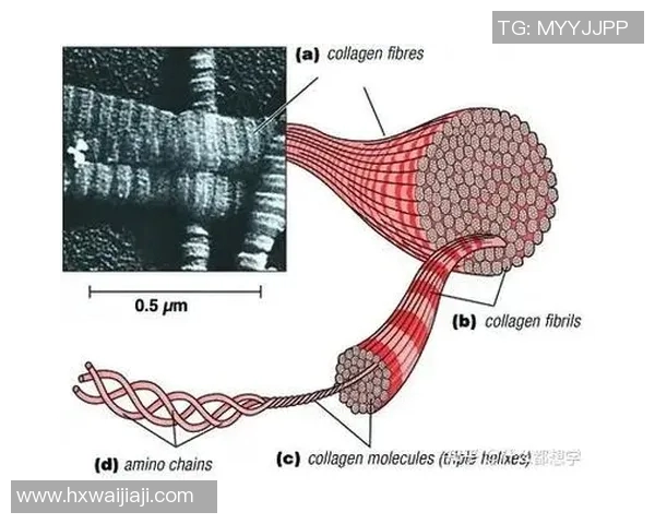 于德豪的创新之路：从科技创业到行业领军者的成长历程